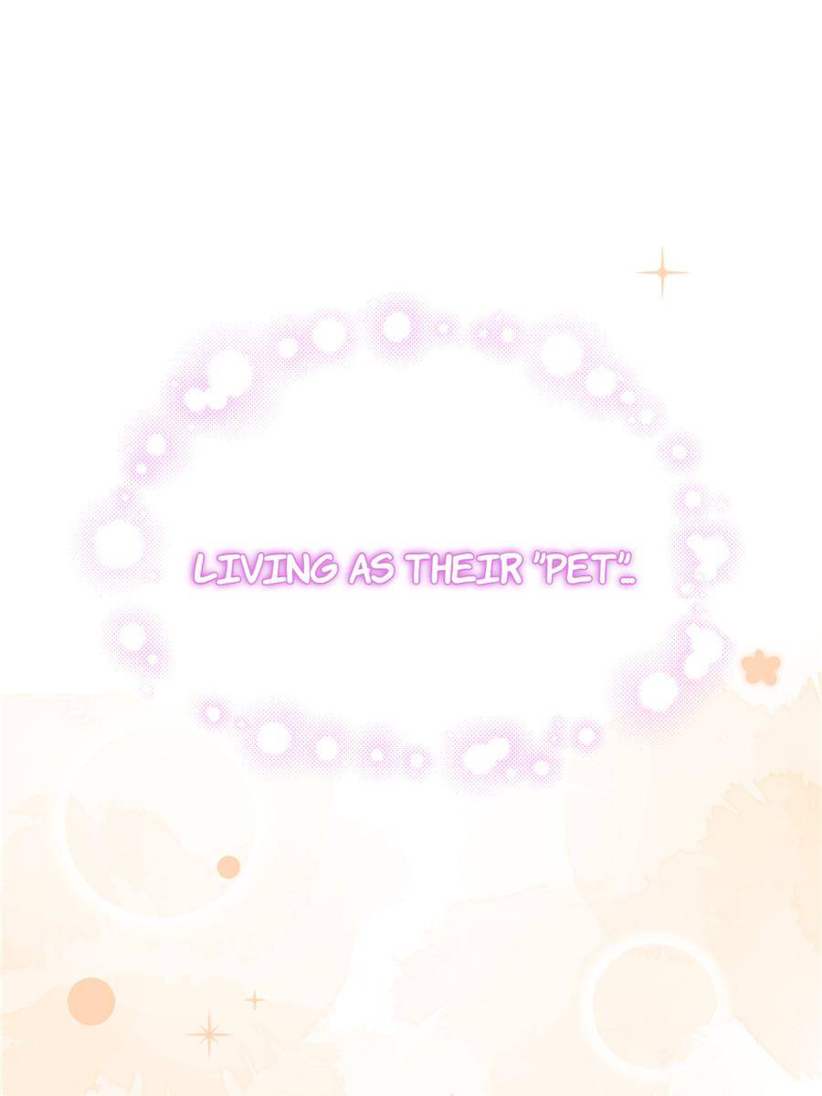 75773953 900 1200 33666