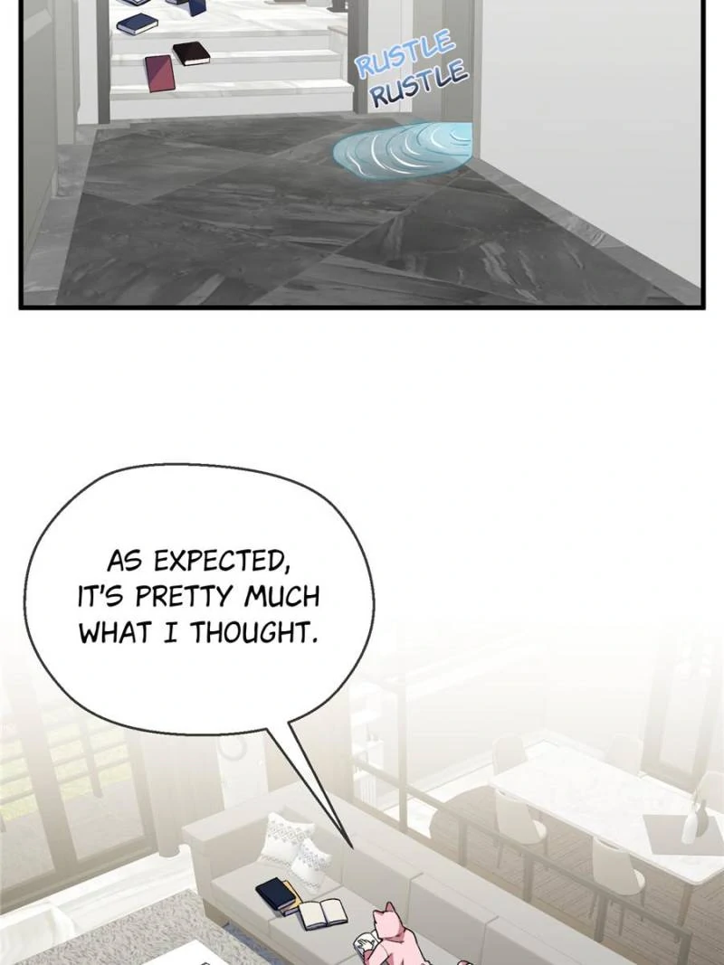 80676547 800 1067 54722