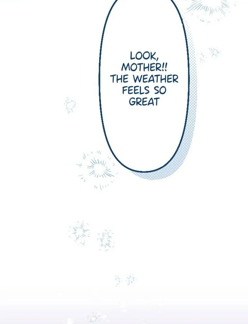 71590097 800 1045 29752